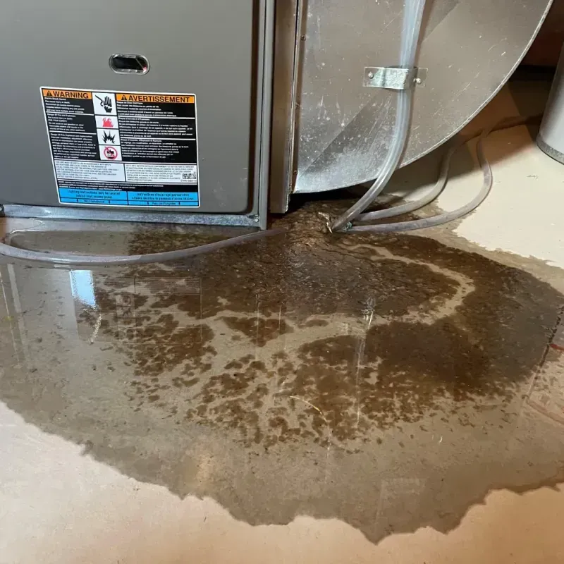 Appliance Leak Cleanup in Danville, IN